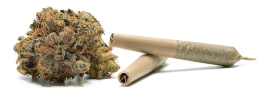 A joint and cannabis bud